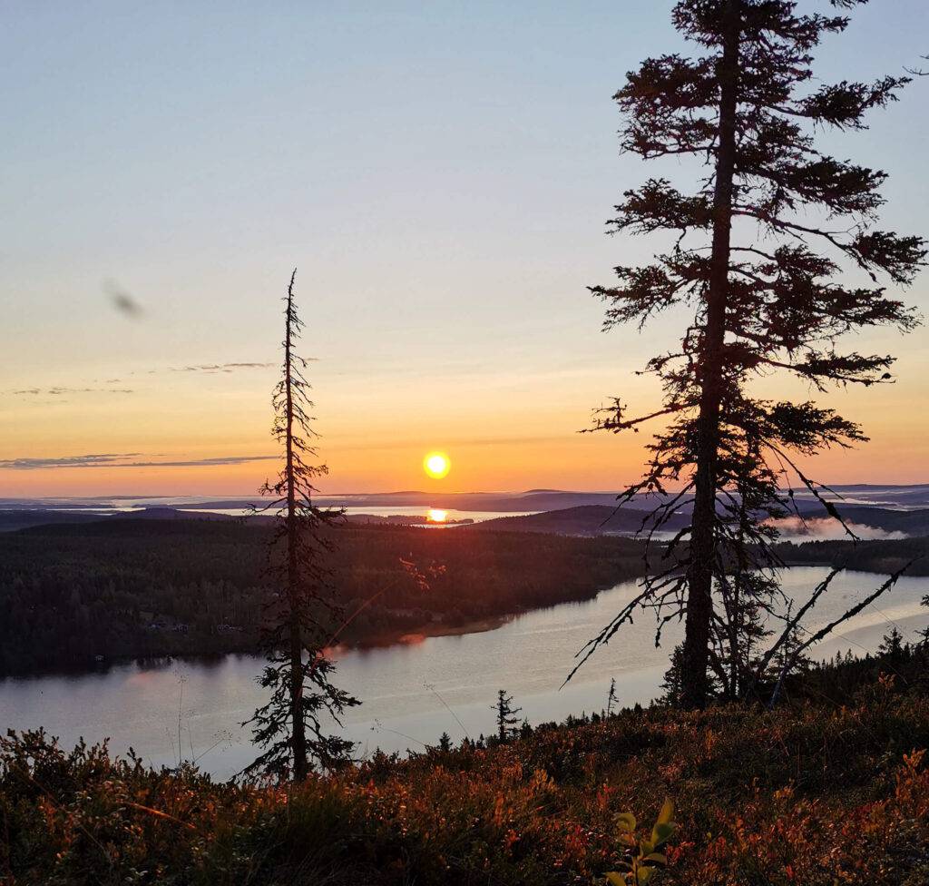 Soluppgång i Västerbotten