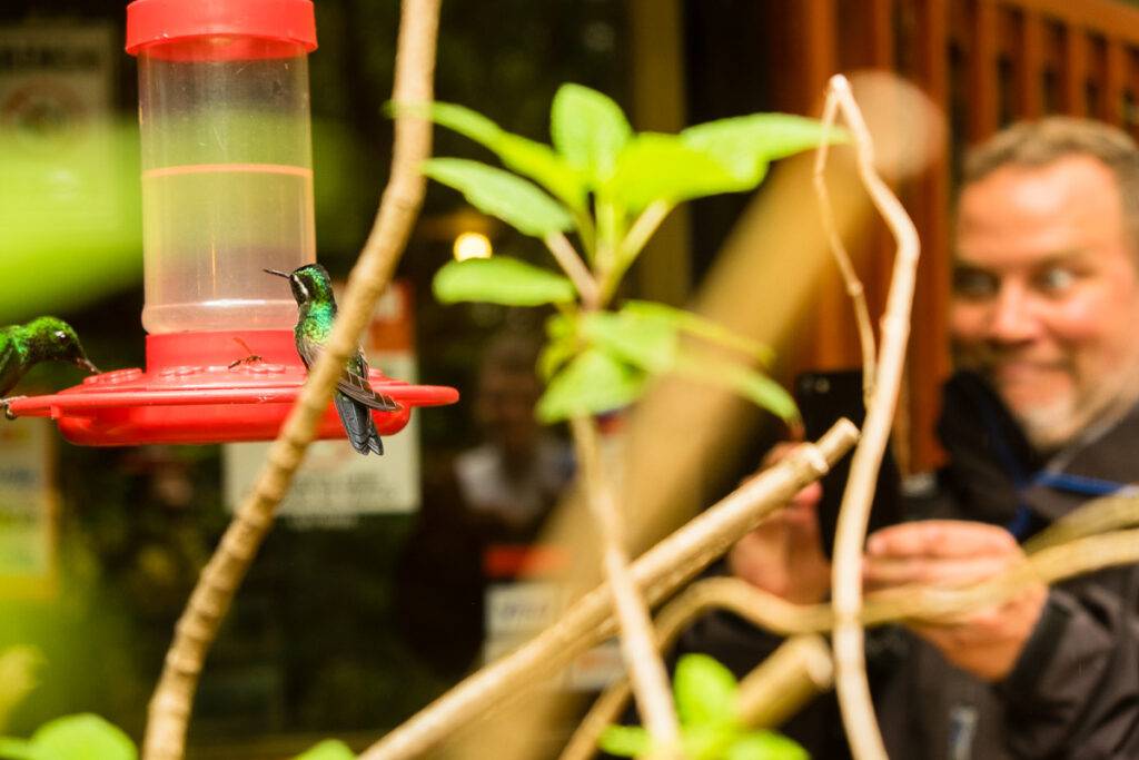 En turist fotograferar kolibrier vid matare utanför Café Colibri.