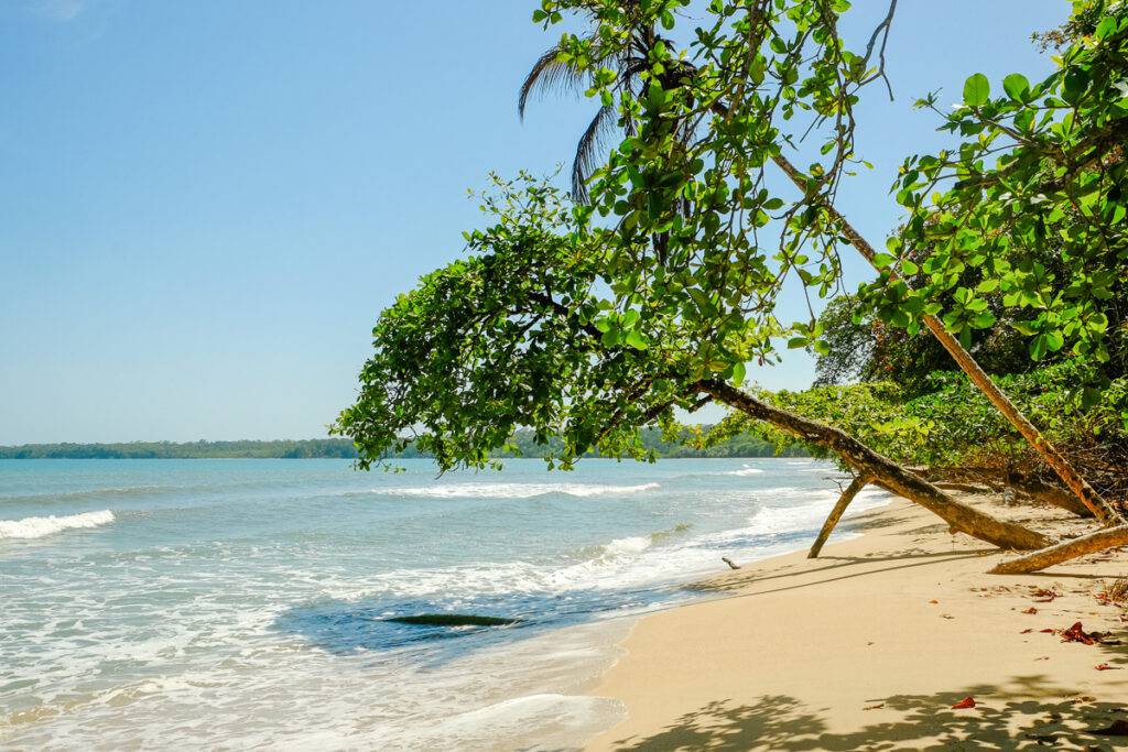 Strand i Cahuitas nationalpark.