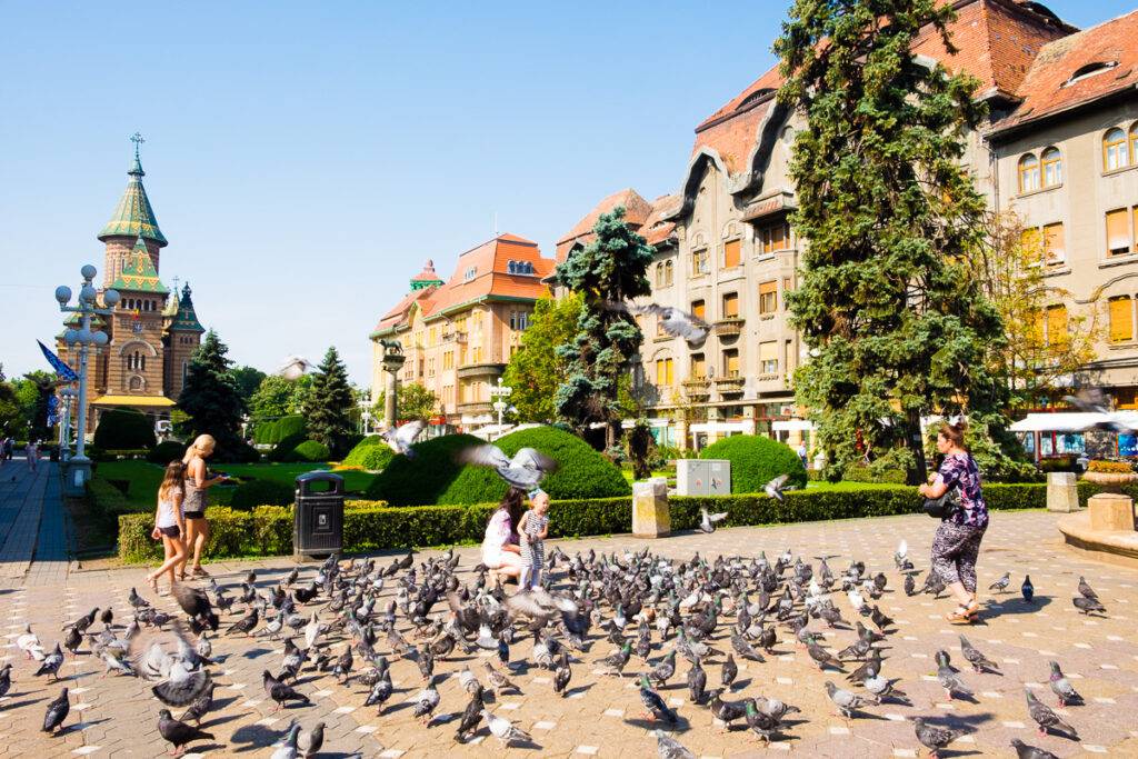 Piata Victoriei eller Segertorget i Timisoara.