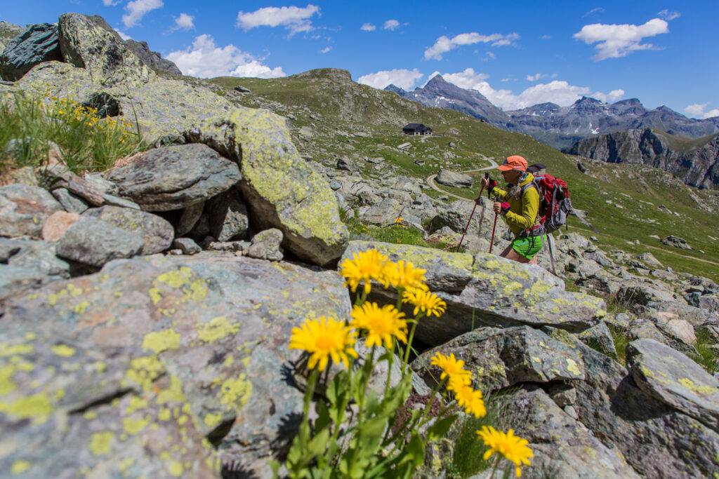 Marta Capitello på väg från Rifugio Gran Tournalin till Champoluc, Aosta
