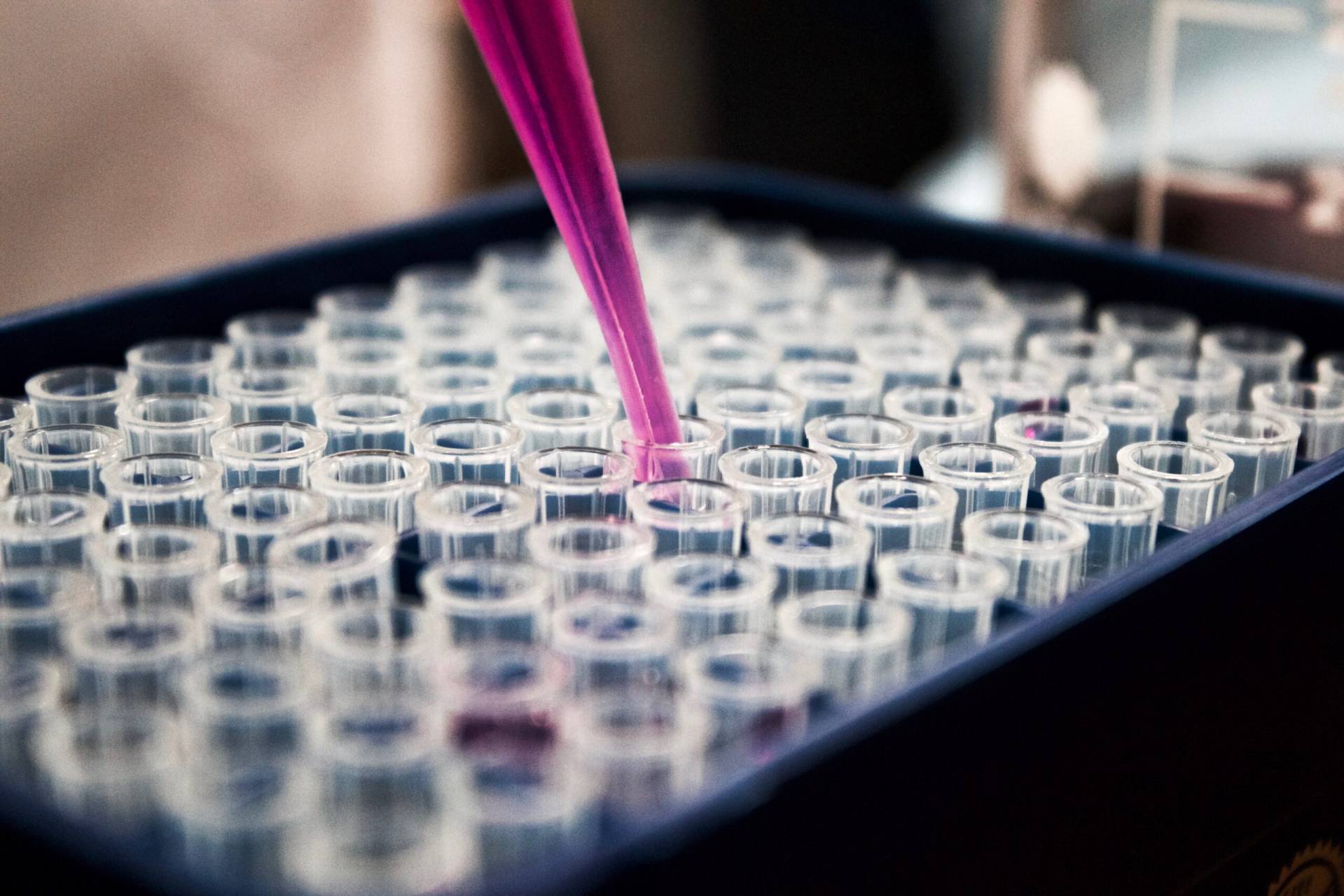 Forskarna hoppas kunna ersätta antibiotika med virus som dödar bakterier.
