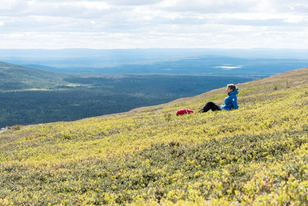 Solig utsikt från fjället.