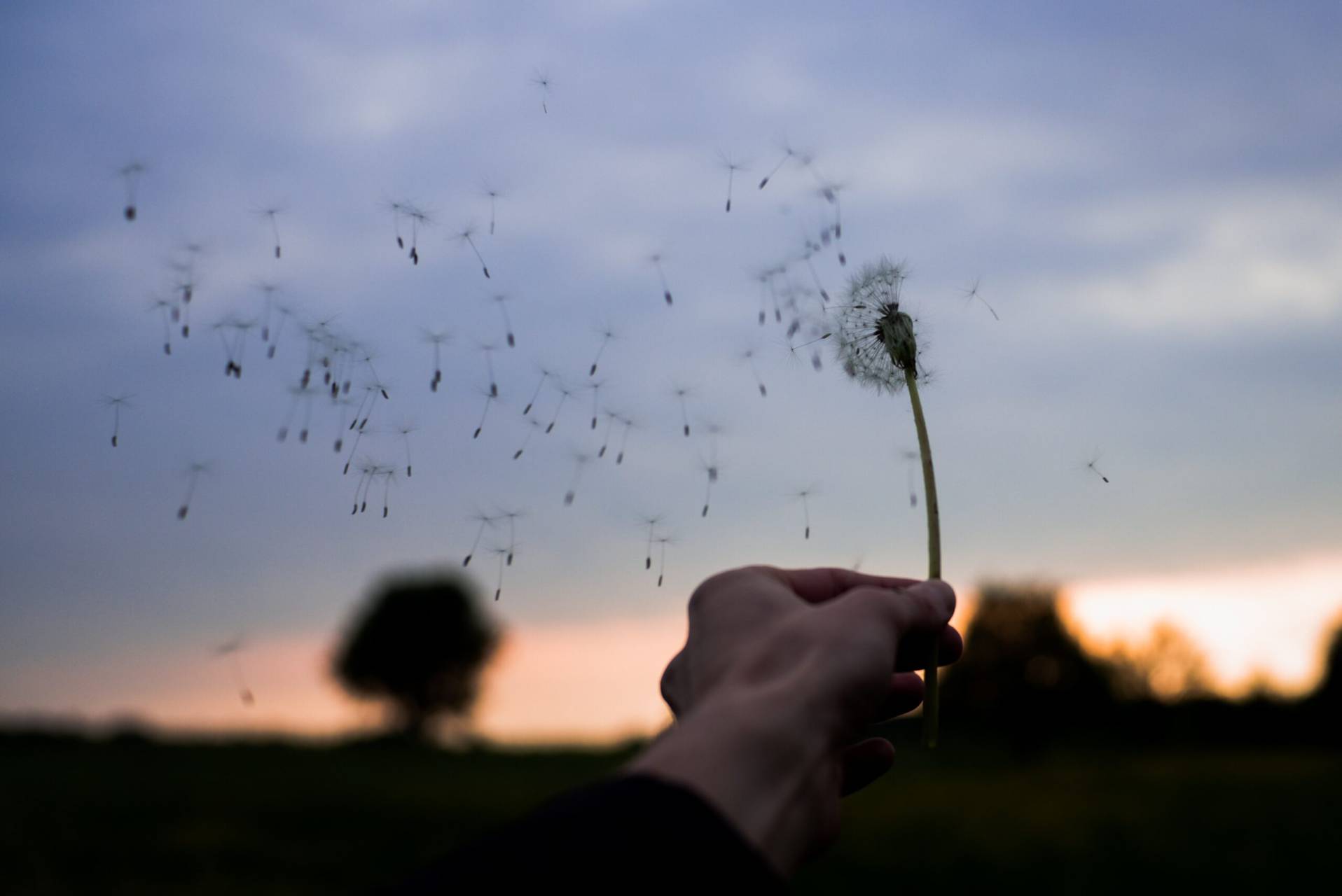 Väger själen verkligen 21 gram? Foto: Unsplash