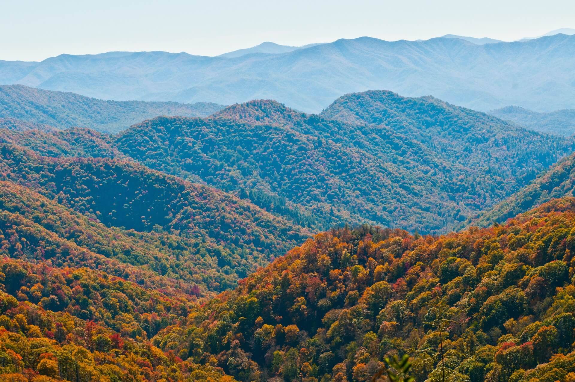 Autumn landscape appalachian trail