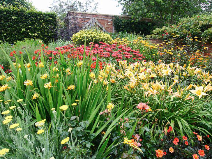Varma känslor i form av röllika, montbretia, daglilja och röd temynta i Wollerton Old Hall Garden.