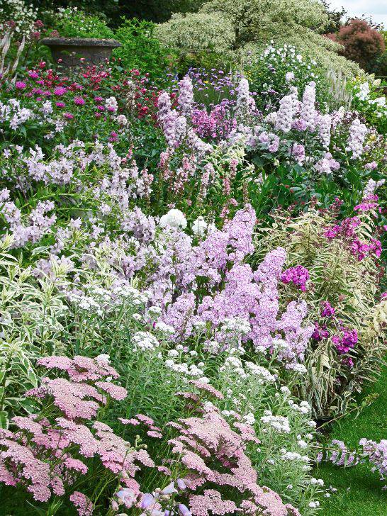 Ljuvhet i rosa och ljust blått och violett. Praktröllika, flox, mjölkklocka, riddarsporrar och temynta i Wollerton Old Hall Garden, Shropshire, England.
