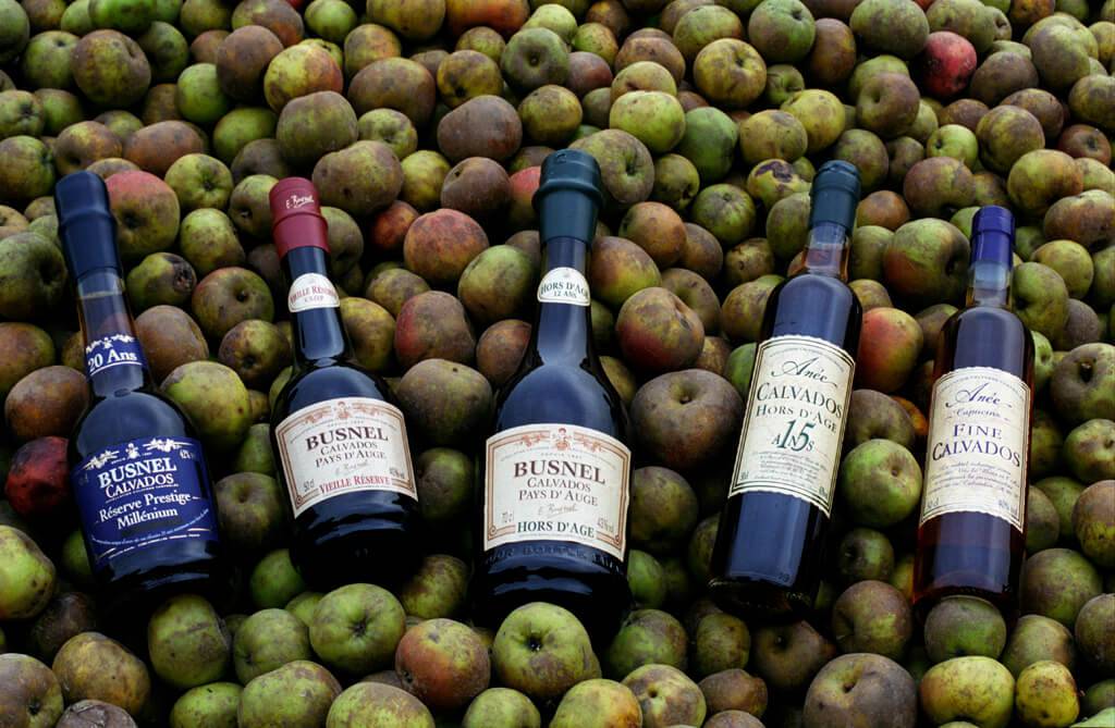 Flaskor med Calvados på äppelbädd