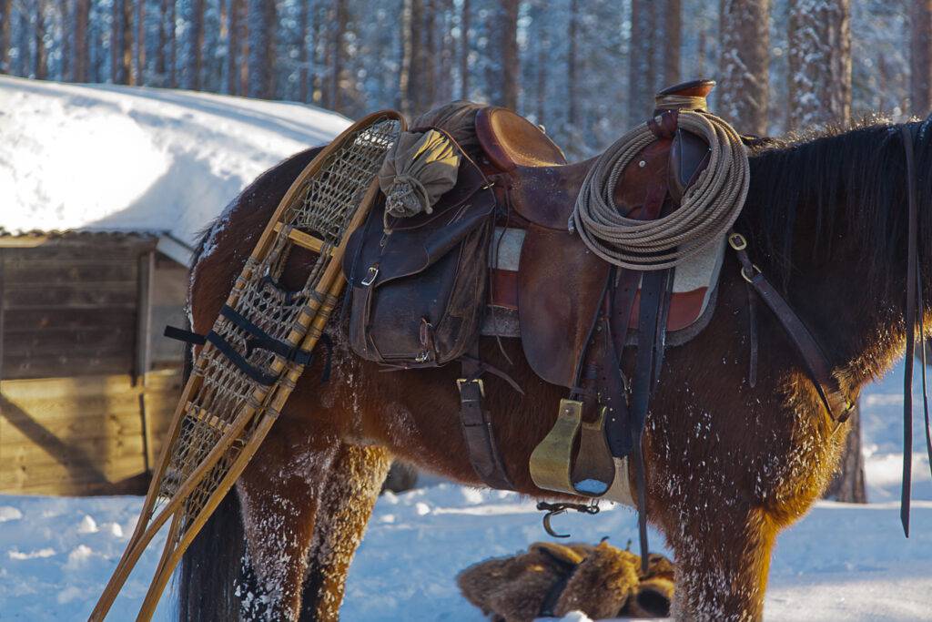 Westernsadel